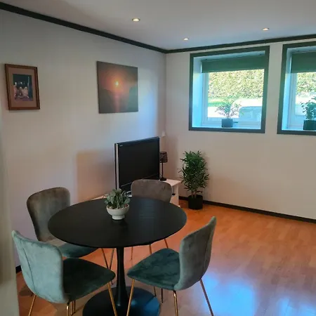 Romslig Pa Traeleborg I Tønsberg