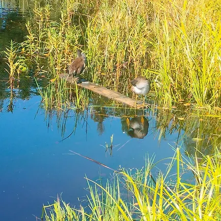 Romslig Pa Traeleborg I Appartement