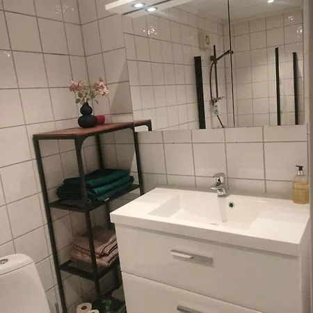 Romslig Pa Traeleborg I Tønsberg