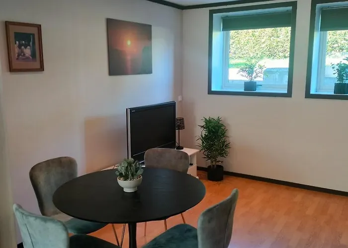 Romslig Pa Traeleborg I Tønsberg