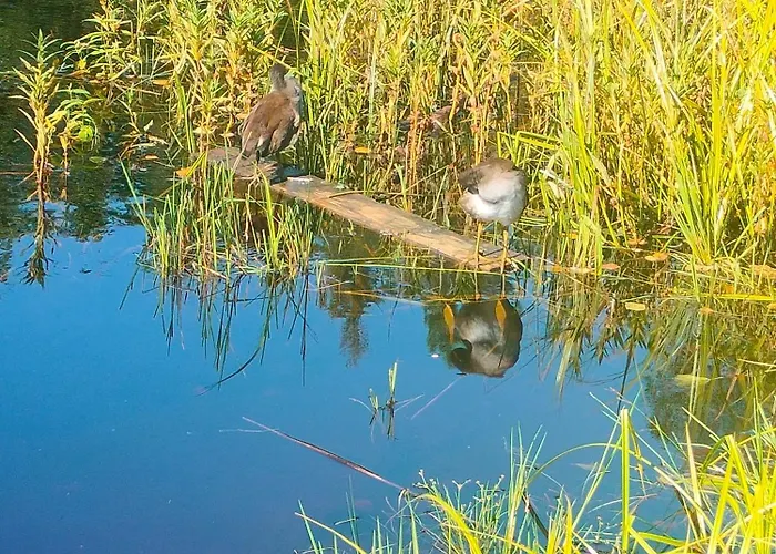 Romslig Pa Traeleborg I Lägenhet