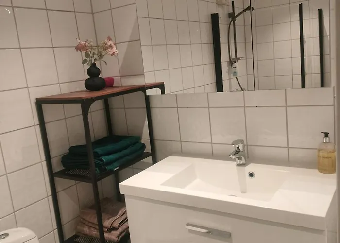 Romslig Pa Traeleborg I Tønsberg